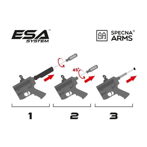 ESA System